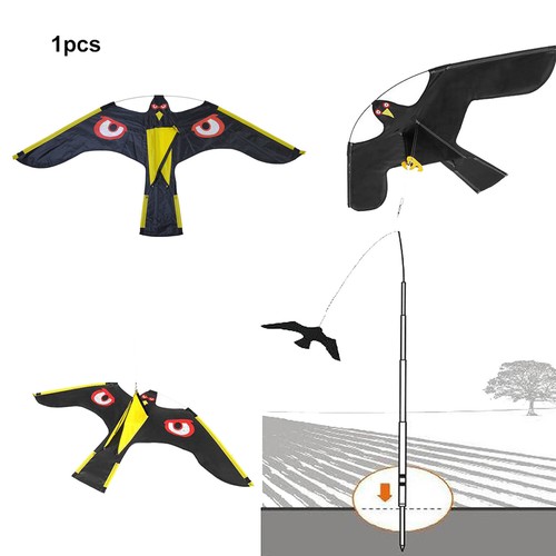 Flying hawk kite garden bird - hawk,