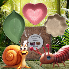 🐌 Giant African Land Snail