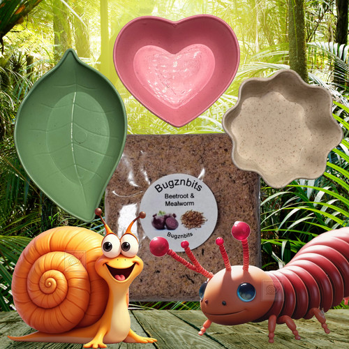 Giant african land - giant, snail
