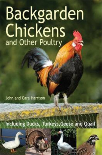 Backgarden chickens and other - backgarden,