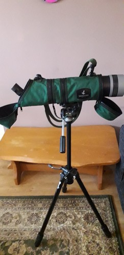 Swarovski spotting scope - ,