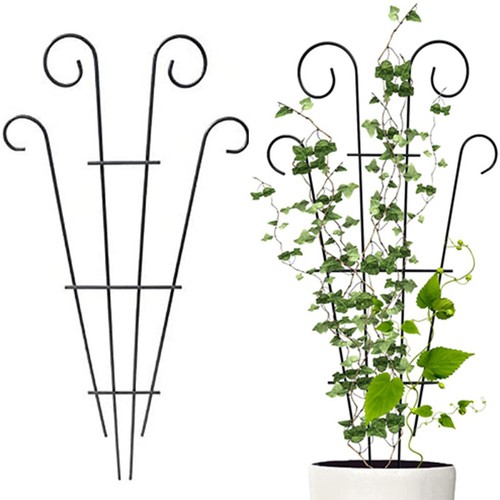Stakes plant climbing - climbing, support