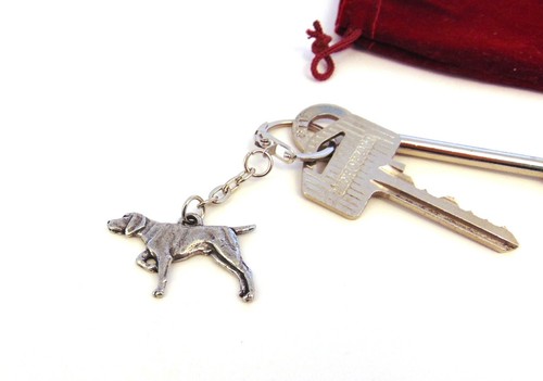 German shorthaired pointer - german,