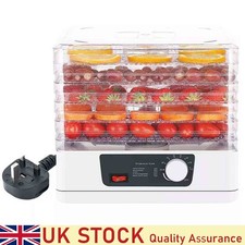 350W 5Titer Electric Food