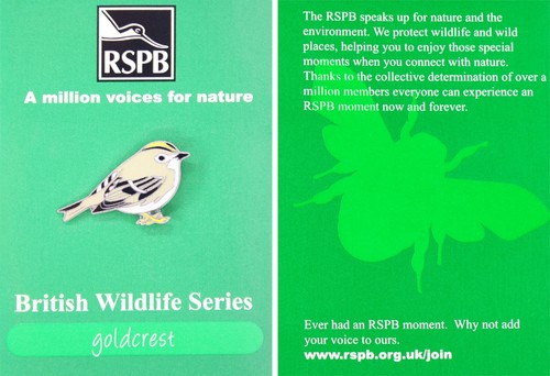 Rspb pin badge amvfn - rspb, british