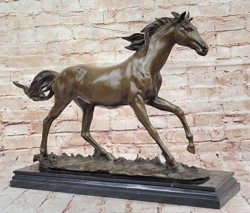 Rare thoroughbred equestrian - rare,