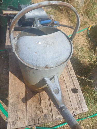 Large gallon vintage - large,