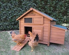 🐔 Savoy Single Chicken Coop