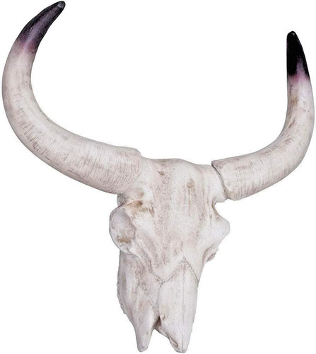 Western animal skull bull head - western,