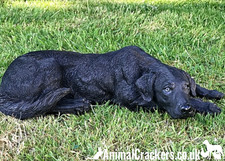 Labrador ornament memorial large 44cm realistic indoor or garden decoration gift