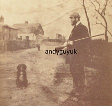CDV HUNTING DOG COUNTRY LANE