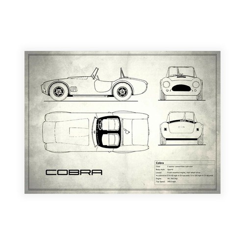 Rogan mark cobra - ac, white