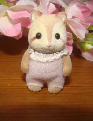 Sylvanian families baby - families, racoon