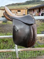 17 Inch Sabre Working Hunter