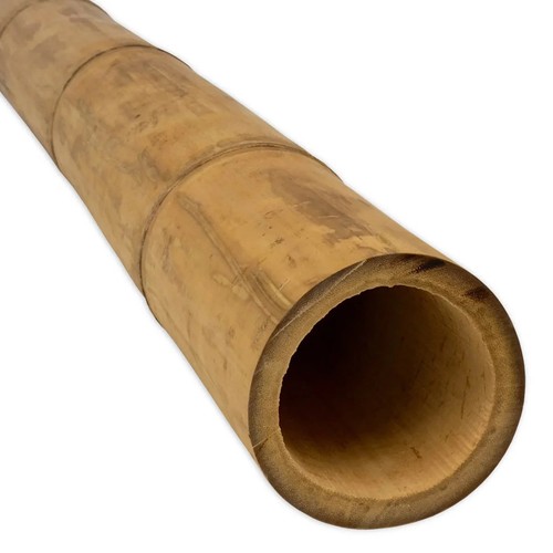 Short lengths natural guadua - short,
