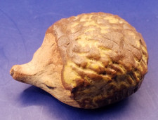 Hedgehog Cornish Tremar Studio