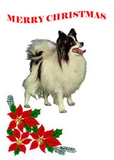 PAPILLON SINGLE DOG PRINT