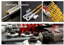 Triumph BONNEVILLE / BOBBER / DAYTONA Fork Recondition REBUILD Service Ohlins