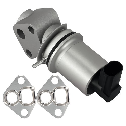 Egr valve gasket - w/,