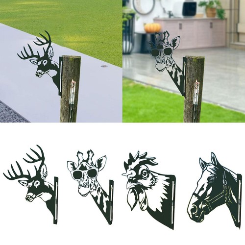 Garden decor metal peeping - garden,