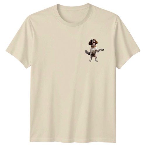 Springer spaniel dog animals - spaniel,