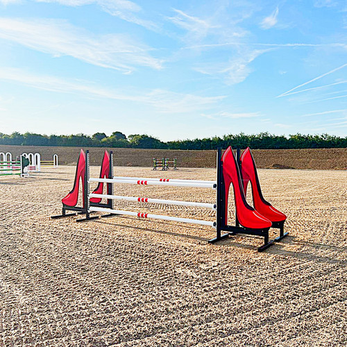 Aluminium show jump wings - show,