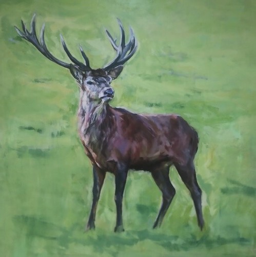 Stag oil on linen - 'stag',