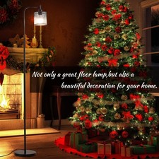 Vintage Industrial Style Floor Lamp with Metal Wire Basket Shade Standing Lamps