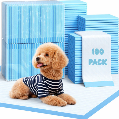 Large puppy training - large,