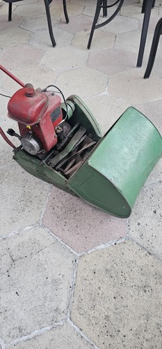 Suffolk punch lawn mower - lawn,