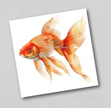 Fridge Magnet Goldfish Classic