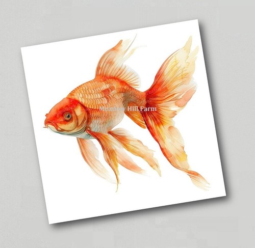 Fridge magnet goldfish classic - fridge,