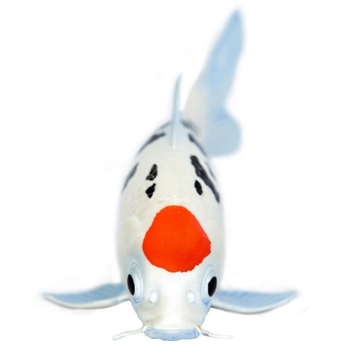 Safari ltd 101025 tancho - 101025, koi