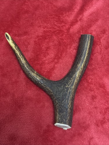 One piece deer antler - one, y