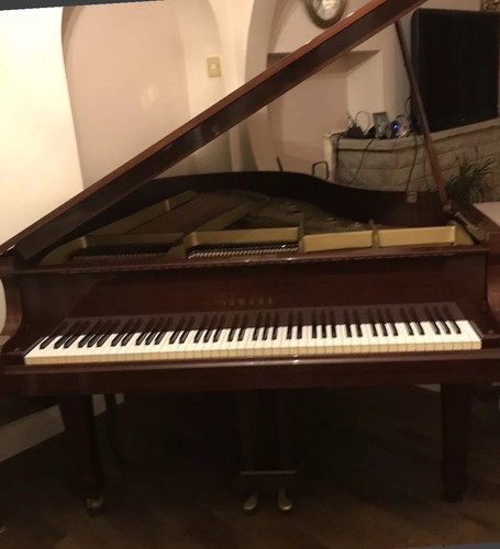 Yamaha baby grand piano - yamaha,