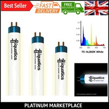 Aquarium Fluorescent Light