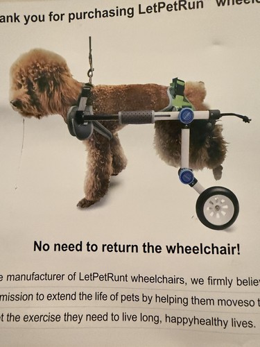 Let pet run - let,