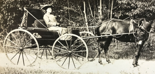 Antique vtg rppc horse - antique,