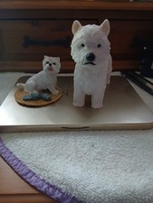 West Highland Terrier