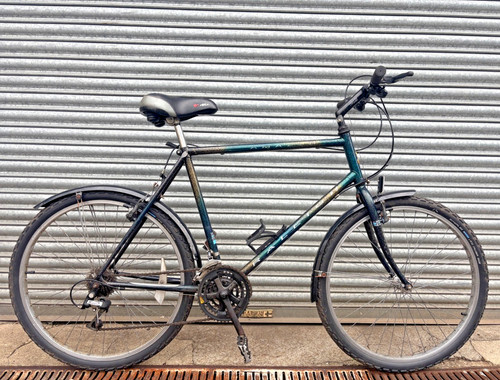 Raleigh amazon 53cm mountain - raleigh,