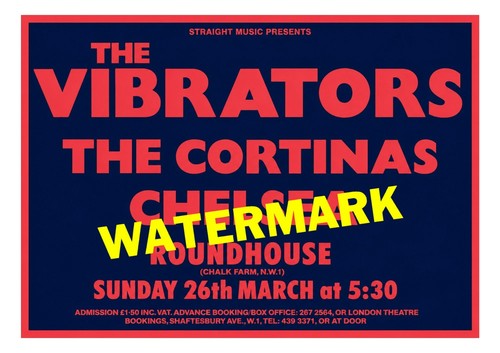 The vibrators gig - the, print