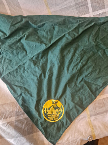 Cub scouts 100 years - cub,