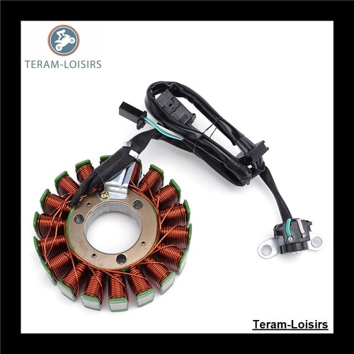 Stator for kawasaki 250 - for, ex
