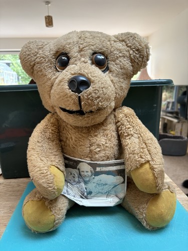 Vintage 1976 nookie bear - vintage,