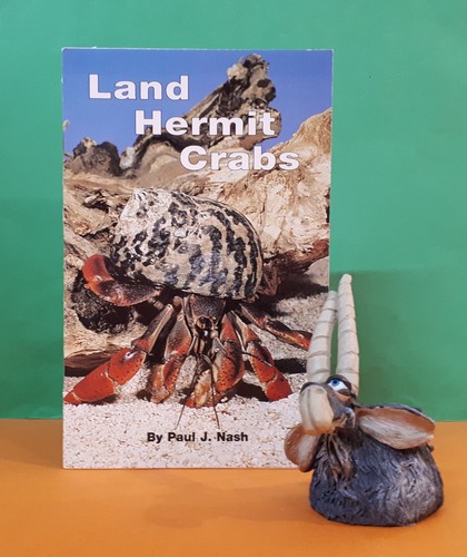 Paul nash land hermit - j,