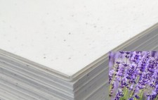 Seeded Craft Paper 10 Sheets A4 Size Lavender Seeds 200GSM Cardmaking Plantable