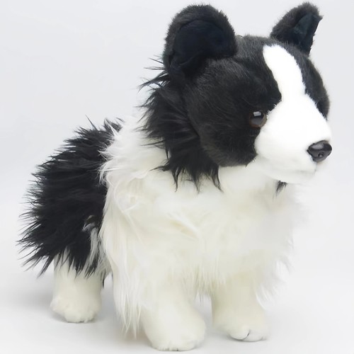 Chase border collie dog - chase,