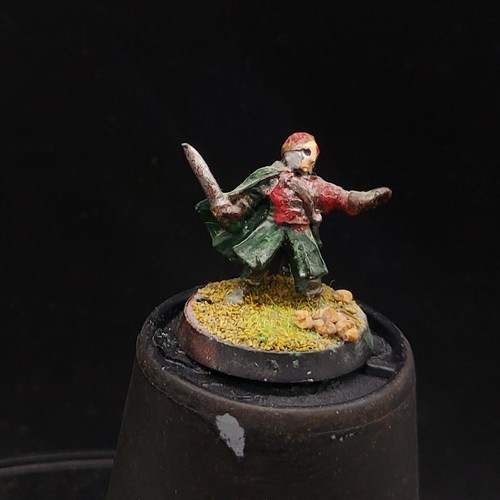 Painted warhammer lotr - painted,