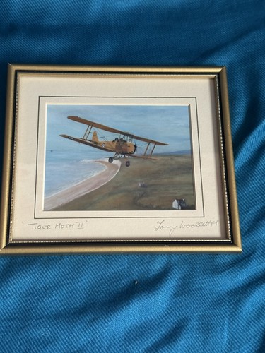 Tiger moth signed framed - tiger,