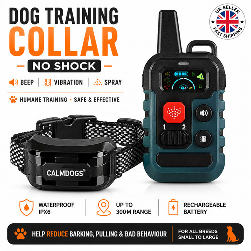 New upgraded spray dog - upgraded,